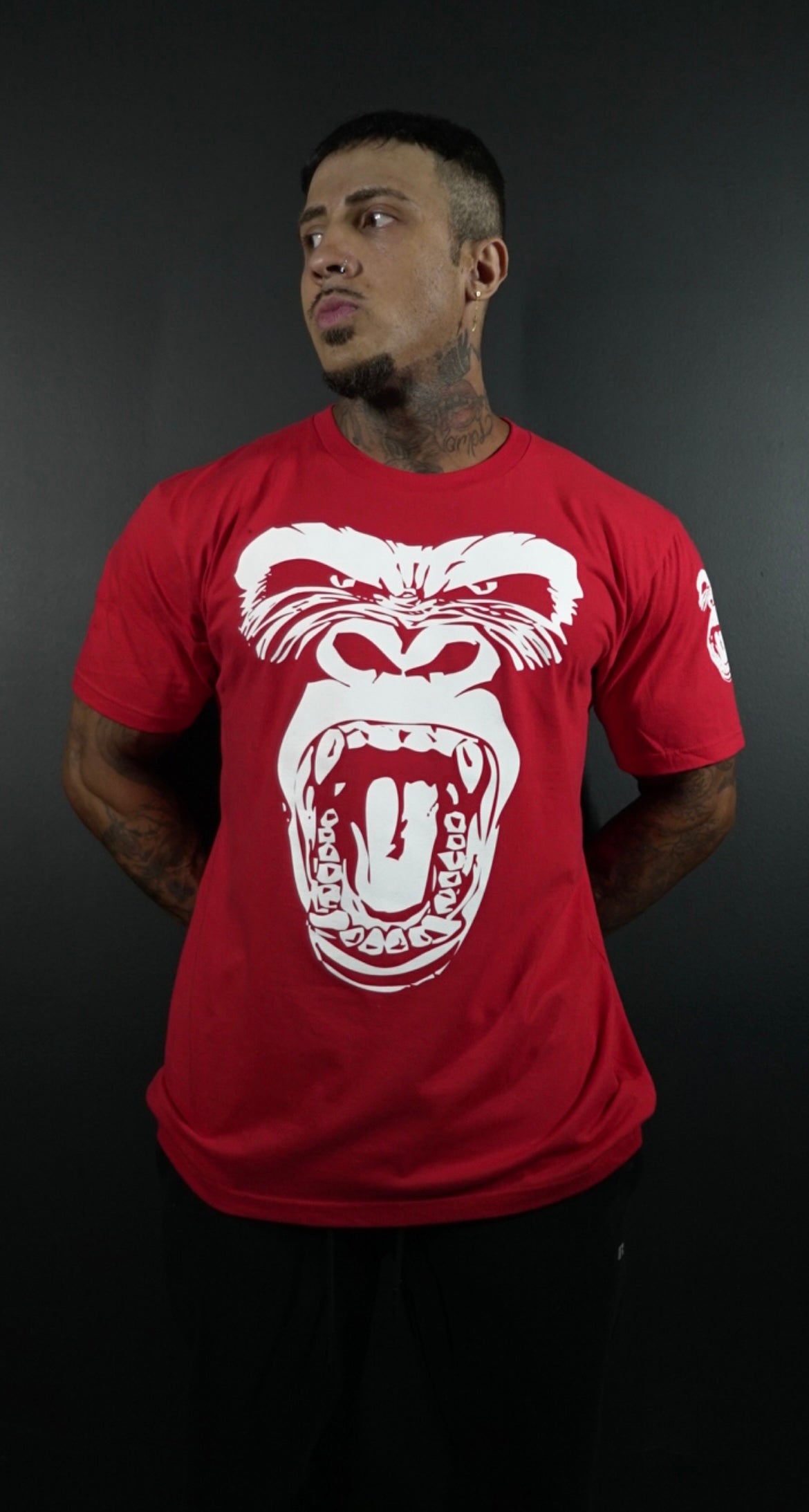 APE-X BIG FACE RED APE GORILLASEASON